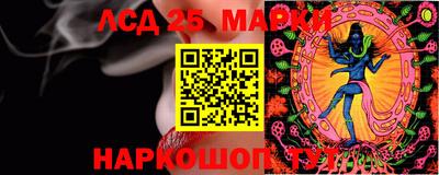СК Абинск